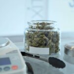 medical marijuana dosing in mississippi